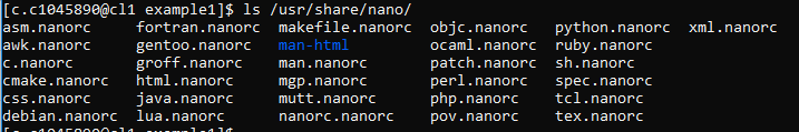 nano syntax languages